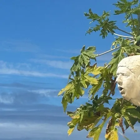 Bela Vigia 2 * Jardim do Mar