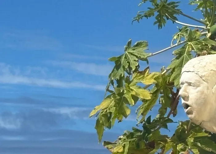 Bela Vigia 2 * 滨海雅尔丁