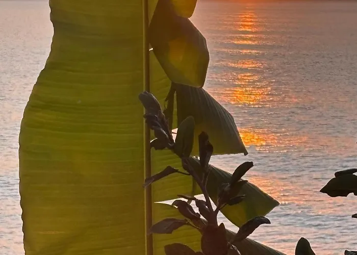 Bela Vigia 2 滨海雅尔丁