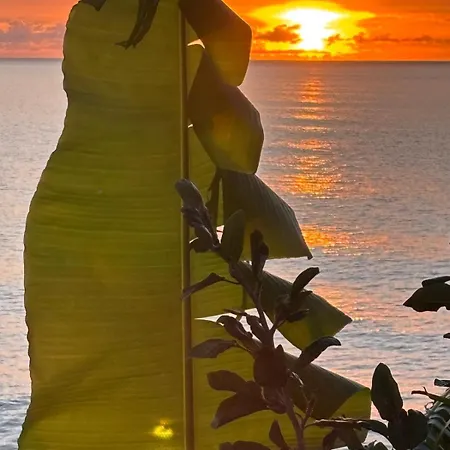 Bela Vigia 2 Jardim do Mar